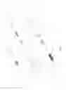 Fig. 02 - STRUCTURE OF EYELINER APPLICATOR
