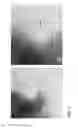 Fig. 07 - SEMICONDUCTOR ELECTRODE FOR DYE-SENSITIZED SOLAR CELL, METHOD OF MANUFACTURING THE SAME, AND DYE-SENSITIZED SOLAR CELL HAVING THE SAME