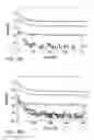 Fig. 08 - SEMICONDUCTOR ELECTRODE FOR DYE-SENSITIZED SOLAR CELL, METHOD OF MANUFACTURING THE SAME, AND DYE-SENSITIZED SOLAR CELL HAVING THE SAME