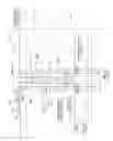 Fig. 02 - In-line back pressure fluid regulators