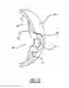 Fig. 06 - Seal member for fluid transfer system