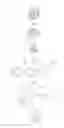 Fig. 02 - ELECTROACTIVE AGGLOMERATED PARTICLES