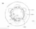Fig. 01 - LIGHT EMITTING DIODE MODULE PACKAGE STRUCTURE