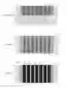 Fig. 09 - Vias in porous substrates