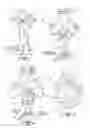 Fig. 02 - Projection device for variety of light device