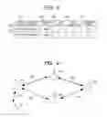 Fig. 08 - Method for building ad hoc network