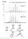 Fig. 85 - Complex of bi-specific antibody and digoxigenin conjugated to a therapeutic or diagnostic agent