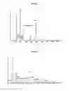 Fig. 02 - Hydroxytyrosol compounds