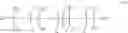 Fig. 22 - Emulsion containing a dispersion of bismuth oxychloride