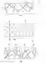 Fig. 02 - Method For Preparing an Acellular Organic Tissue of Human or Animal Origin For Revitalization