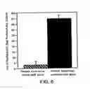 Fig. 06 - EXPRESSION OF HIV POLYPEPTIDES AND PRODUCTION OF VIRUS-LIKE PARTICLES