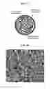 Fig. 02 - Anode active material, anode and lithium battery including the material, and method of preparing the material