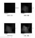 Fig. 09 - Amorphous and partially amorphous nanoscale ion storage materials