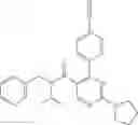 Fig. 231 - Ion channel modulators and methods of use