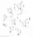 Fig. 02 - Compounds having peptides conjugated to bone targeting moieties and methods of making and using thereof