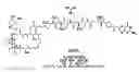 Fig. 01 - Methods and compositions for treating and diagnosing kidney disease
