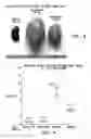Fig. 06 - Methods and compositions for treating and diagnosing kidney disease