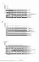 Fig. 09 - Method of identifying a candidate compound which may inhibit α9-nAchR overexpression or estrogen receptor-dependent transcription in nicotine-derived-compound-induced breast cancer cells