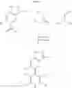 Fig. 09 - FLUORINATED 2,6-DIALKYL-3,5-DICYANO-4-(1H-INDAZOL-5-YL)-1,4-DIHYDROPYRIDINES AND METHODS OF USE THEREOF