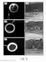 Fig. 06 - Method of inhibiting harmful microorganisms and barrier-forming composition therefor