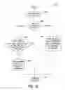 Fig. 08 - Data segment version numbers in distributed shared memory