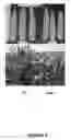 Fig. 03 - METHOD TO INCREASE CROP GRAIN YIELD UTILIZING COMPLEMENTARY PAIRED GROWTH AND YIELD GENES