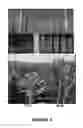 Fig. 04 - METHOD TO INCREASE CROP GRAIN YIELD UTILIZING COMPLEMENTARY PAIRED GROWTH AND YIELD GENES