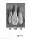 Fig. 05 - METHOD TO INCREASE CROP GRAIN YIELD UTILIZING COMPLEMENTARY PAIRED GROWTH AND YIELD GENES