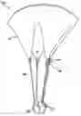 Fig. 01 - Parachute assemblies for training persons to catch an object in flight such as a ball