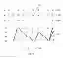 Fig. 05 - Determining a reconstructed image with viterbi detection using a particle-optical apparatus