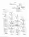 Fig. 06 - Fast measurement initialization for memory