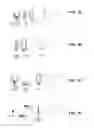 Fig. 02 - Peripheral treatment for head-mounted displays