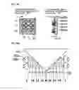Fig. 15 - Lighting apparatus