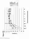 Fig. 167 - METHODS OF TREATMENT UTILIZIING BINDING PROTEINS OF THE INTERLEUKIN-21 RECEPTOR