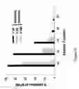 Fig. 07 - Method of inducing an antiviral immune response against HIV-1 utilizing chimeric HIV Env proteins comprising CD4 mini-proteins or CD4 mimetics