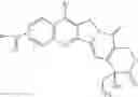 Fig. 09 - DRUG DELIVERY FROM EMBOLIC AGENTS