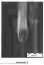 Fig. 03 - Bioresorbable and biocompatible compounds for surgical use