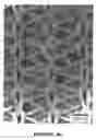 Fig. 05 - Bioresorbable and biocompatible compounds for surgical use