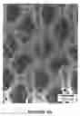 Fig. 07 - Bioresorbable and biocompatible compounds for surgical use