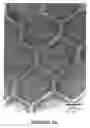 Fig. 09 - Bioresorbable and biocompatible compounds for surgical use