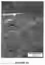 Fig. 10 - Bioresorbable and biocompatible compounds for surgical use