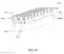 Fig. 06 - Corrugated and apertured web