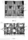 Fig. 12 - Corrugated and apertured web