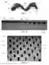 Fig. 13 - Corrugated and apertured web