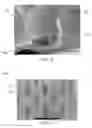 Fig. 14 - Corrugated and apertured web