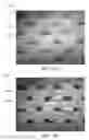 Fig. 15 - Corrugated and apertured web
