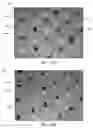 Fig. 16 - Corrugated and apertured web