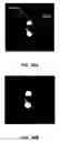 Fig. 32 - CAST FILMS, MICROPOROUS MEMBRANES, AND METHOD OF PREPARATION THEREOF