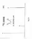 Fig. 07 - PURE FORMS OF LITHIUM BORATE SALTS AND THE PROCESS PRODUCING SUCH FORMS