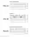 Fig. 02 - Patterning process